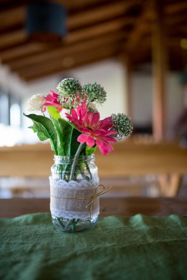 Bed and Breakfast Opg Horvat Sobe Za Odmor Daruvar Exterior foto